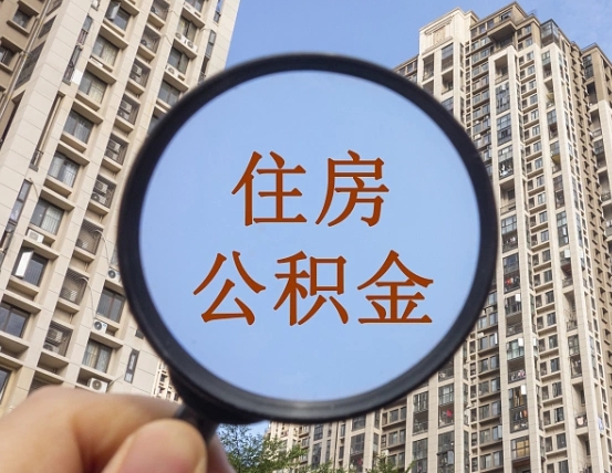 邹城退休后查不到公积金明细了吗（退休后公积金查询不到原因）